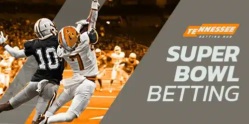 Tennesseebettinghub Super Bowl betting desktop banner featuring professional American football players in action.